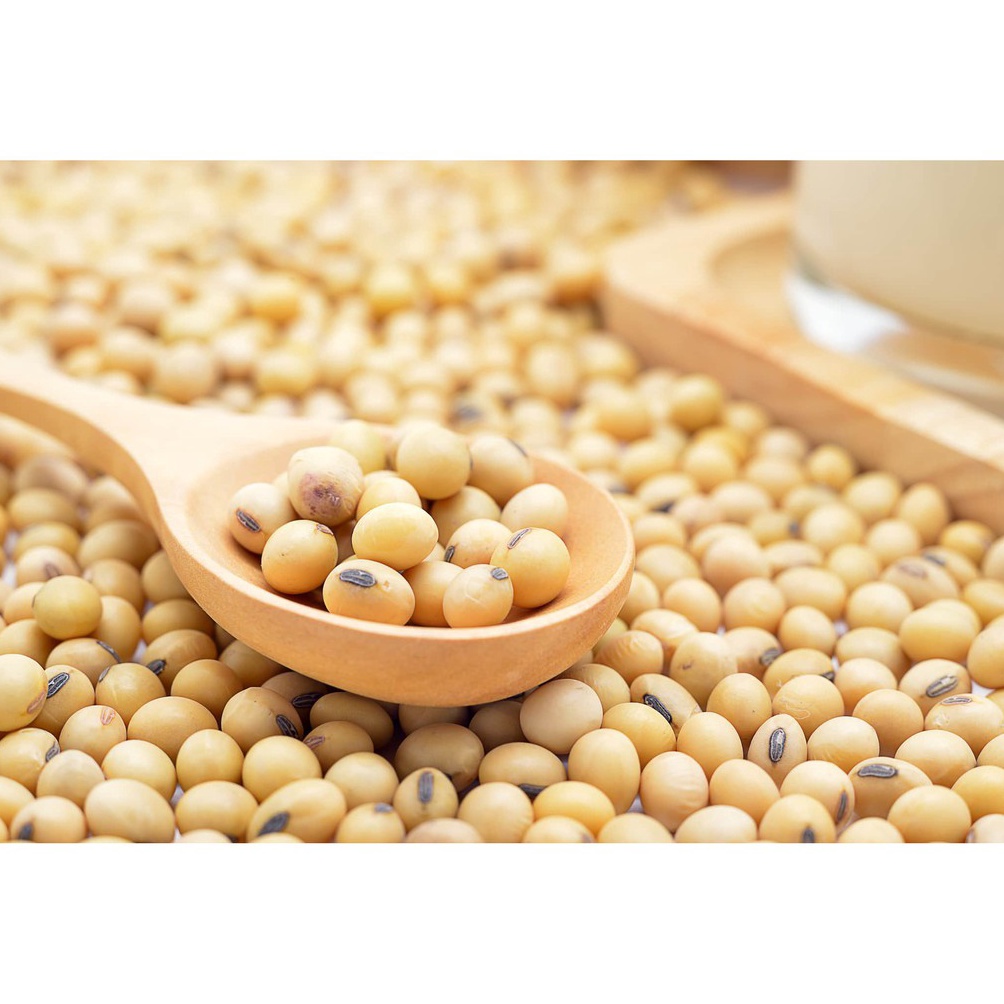 

[✪B74➢] Soya Kacang Kedelai Super kedelei Soya Bean 1KG Stok Sedikit