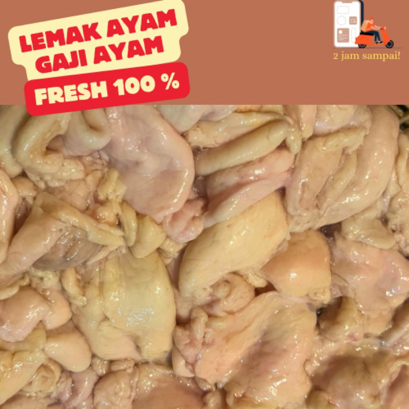 

Lemak Ayam Gaji Ayam untuk siomay