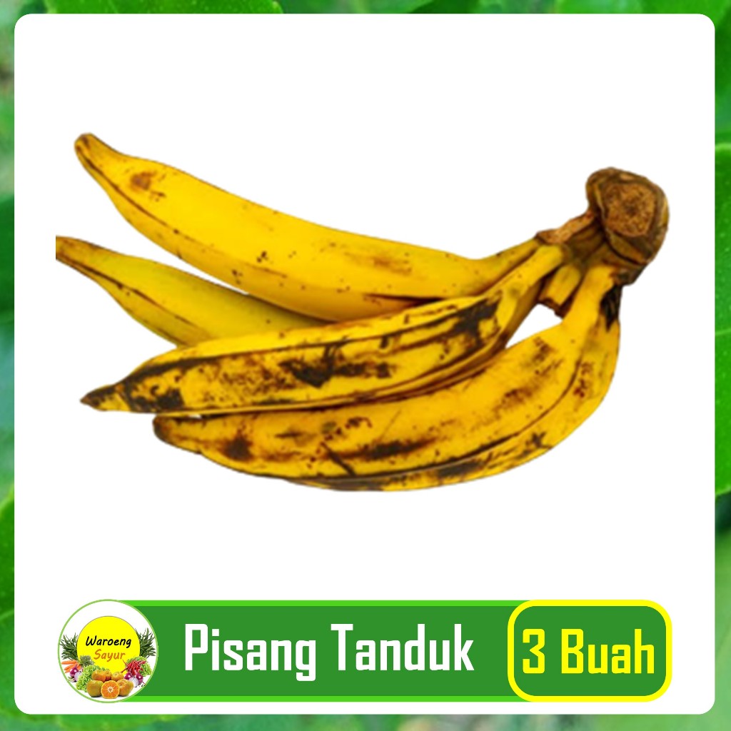 

Pisang Tanduk 3Pcs Fresh Toko Buah Segar Bogor