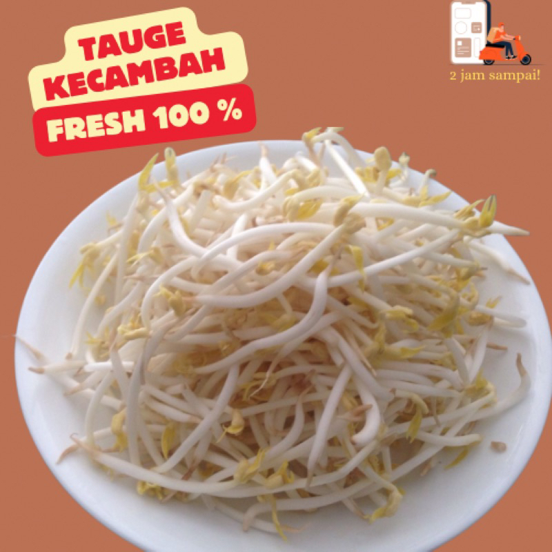 

Tauge Toge Kecambah 250 gram Fresh vegetable Sayuran KIRIM INSTAN BANDUNG