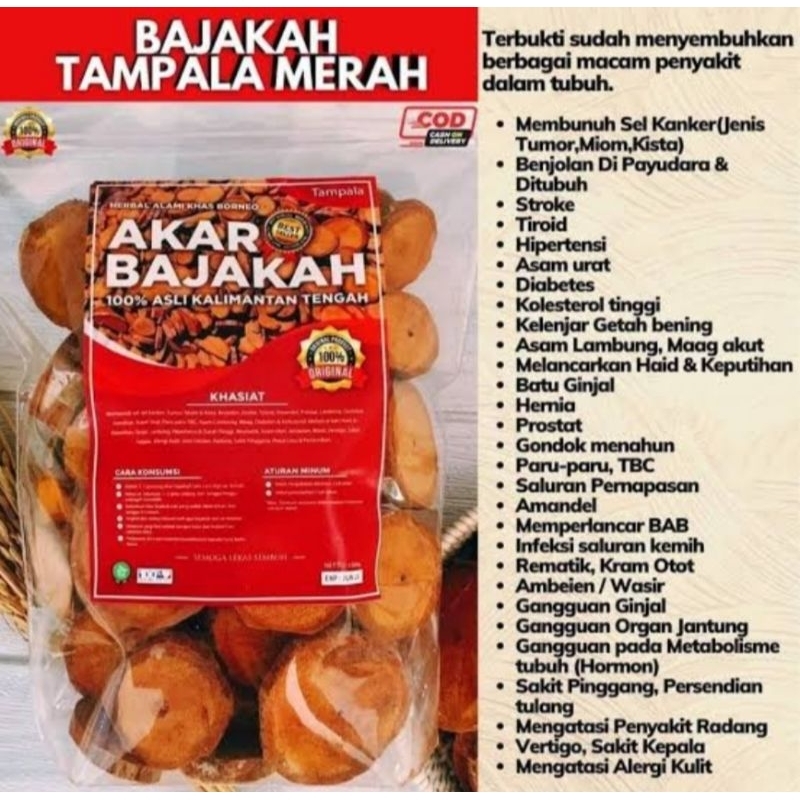 

Kayu Akar Bajakah Merah