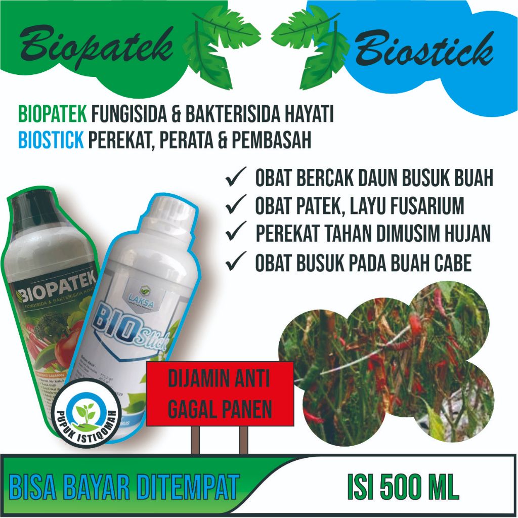 Paket Obat Kriting Cabe BIOPATEK + BIO STICK Perekat - Obat Pembasmi Keriting Pada Tanaman Cabe BIOP