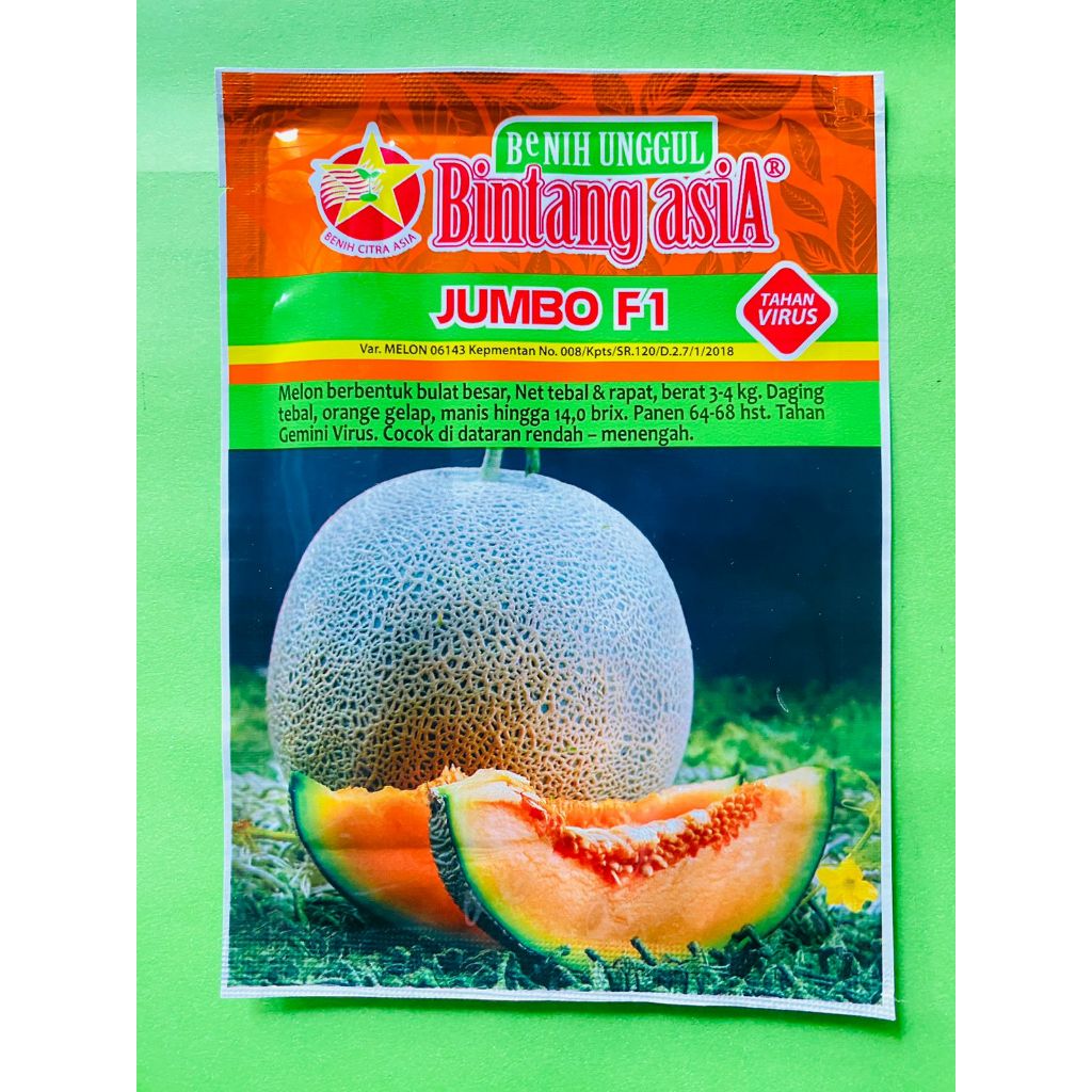 Benih melon orange Jumbo F1 dr Bintang Asia