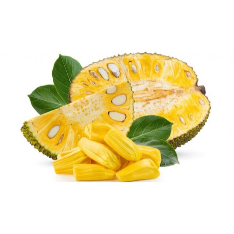 

BUAH NANGKA KUPAS MANIS SIAP DIMAKAN 500GRAM