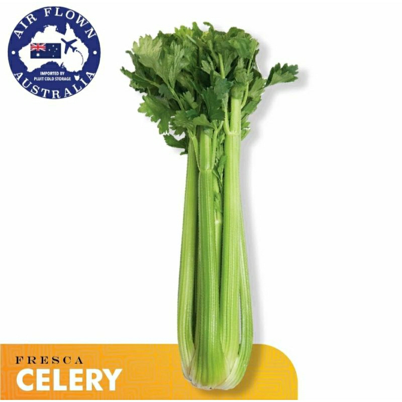

RB Celery Australia Fresh- seledri ( min 12 kg/ 1 carton ) Harga per Kg