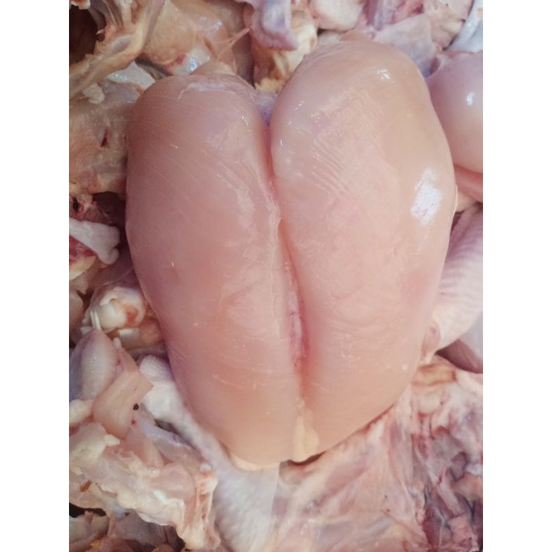 

Daging Ayam dada Boiler 1 kilo Fresh.