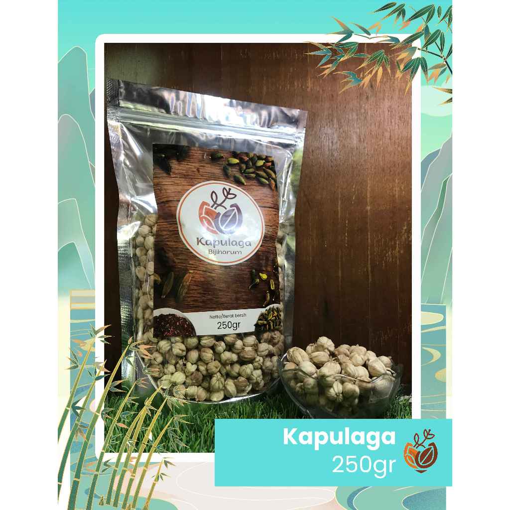 

Kapulaga 250 gram (Harga Petani)