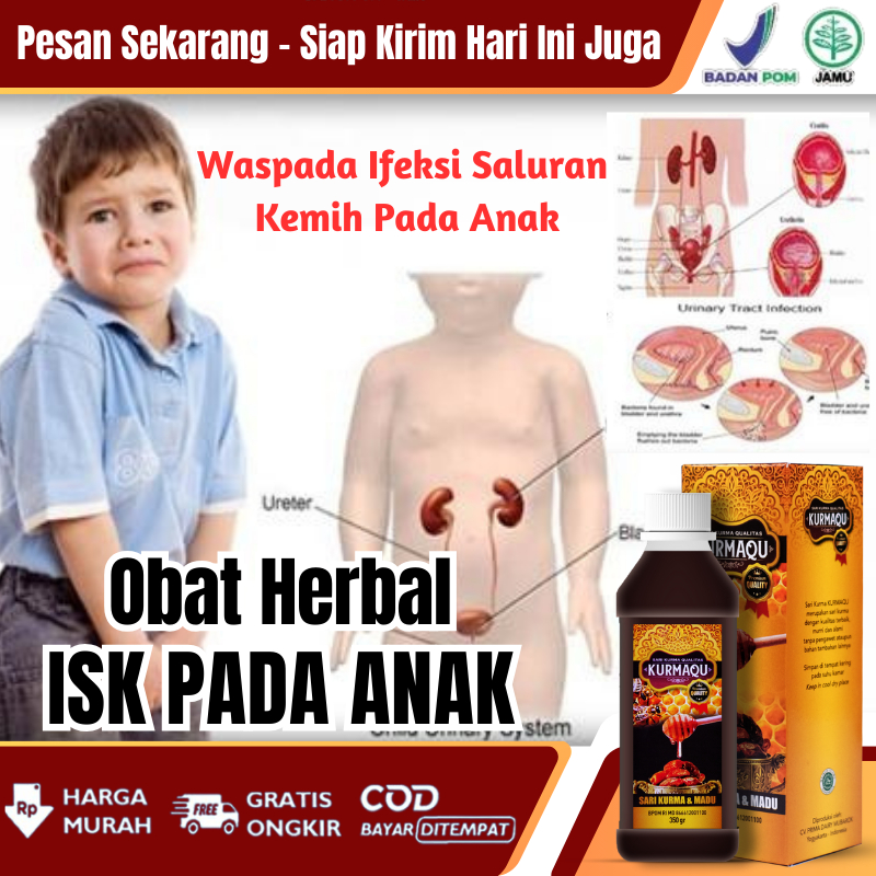 Obat Alami Gangguan di Kandung Kemih Anak Obat Infeksi Saluran Kandung Kemih Sakit Saat Buang Air Ke
