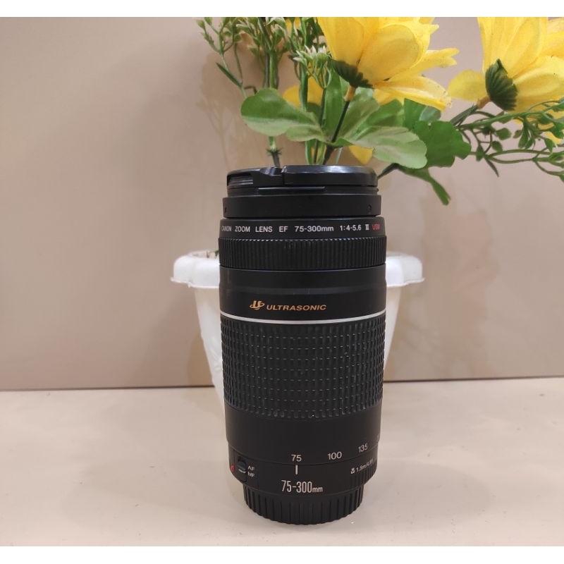 LENSA TELE CANON 75-300MM