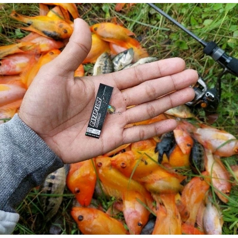 LURE RAYAP Umpan Wader Bader Nila