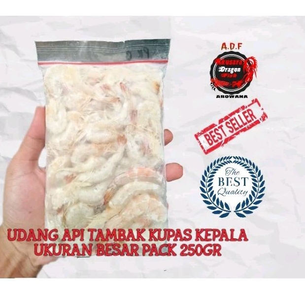 

Udang Api Beku Kupas Kepala Ukuran Besar Pakan Ikan Dll