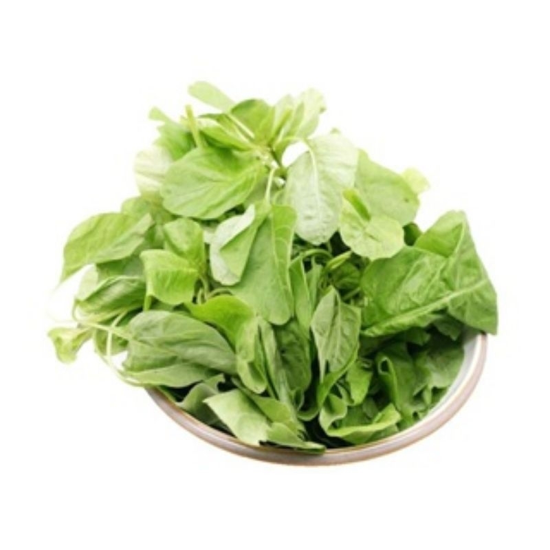 

sayur segar yg sudah dipetik tinggal masak paket hemat