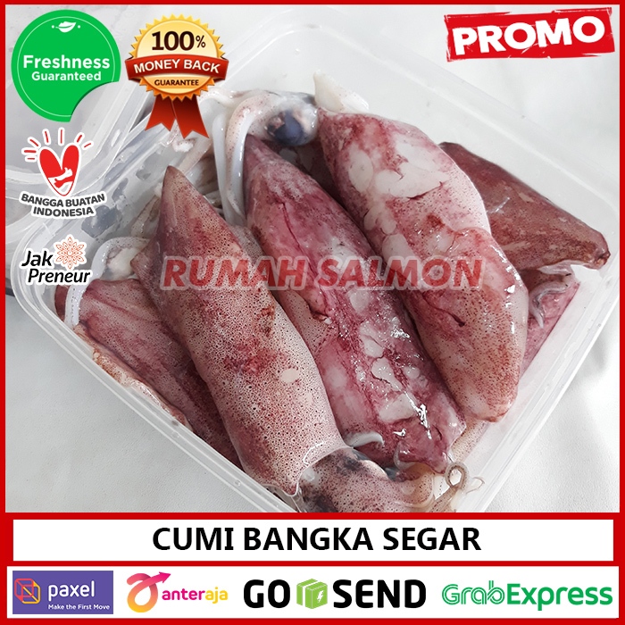 

Cumi Bangka FRESH Utuh / Cumi Besar Seafood Segar Harian / Squid Fresh