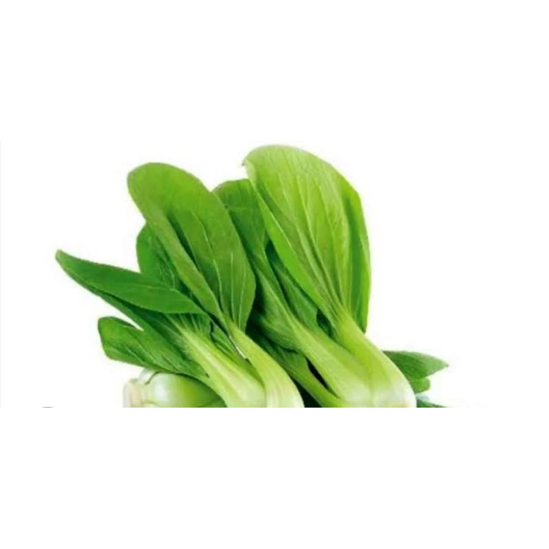 

Pakcoy fresh 500 gram tersedia di pasar senen PROMO