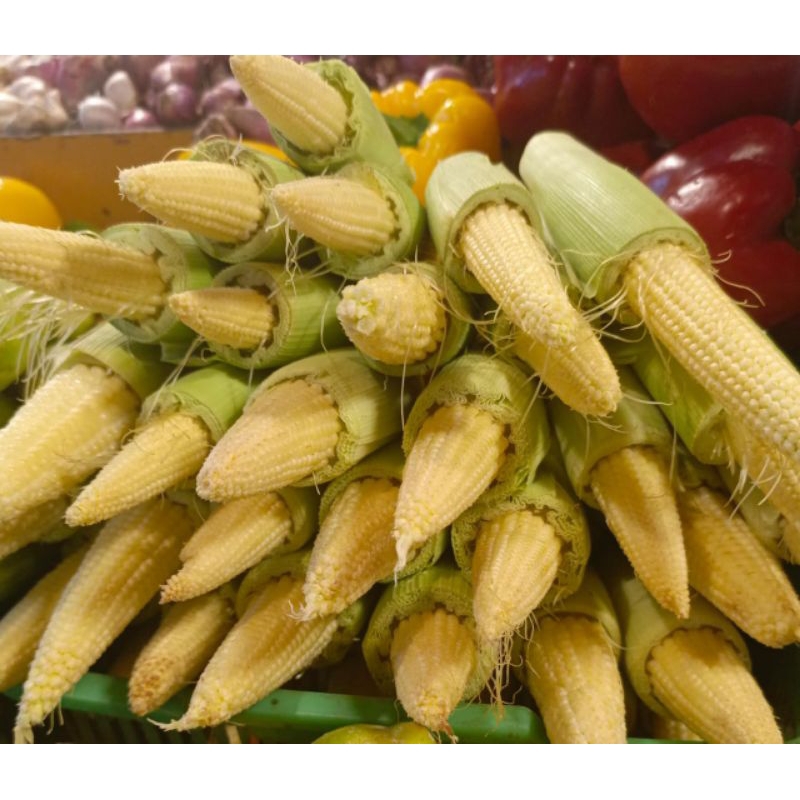 

Jagung acar/putern fresh 250gram