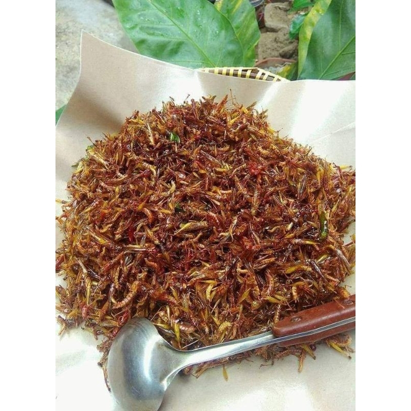 

Sekar_Shop07 Belalang Goreng Utis Aneka Varian Rasa Gurih, Pedas Gurih, Pedas Manis, Manis