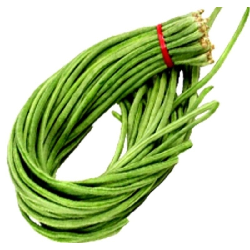 

kacang panjang