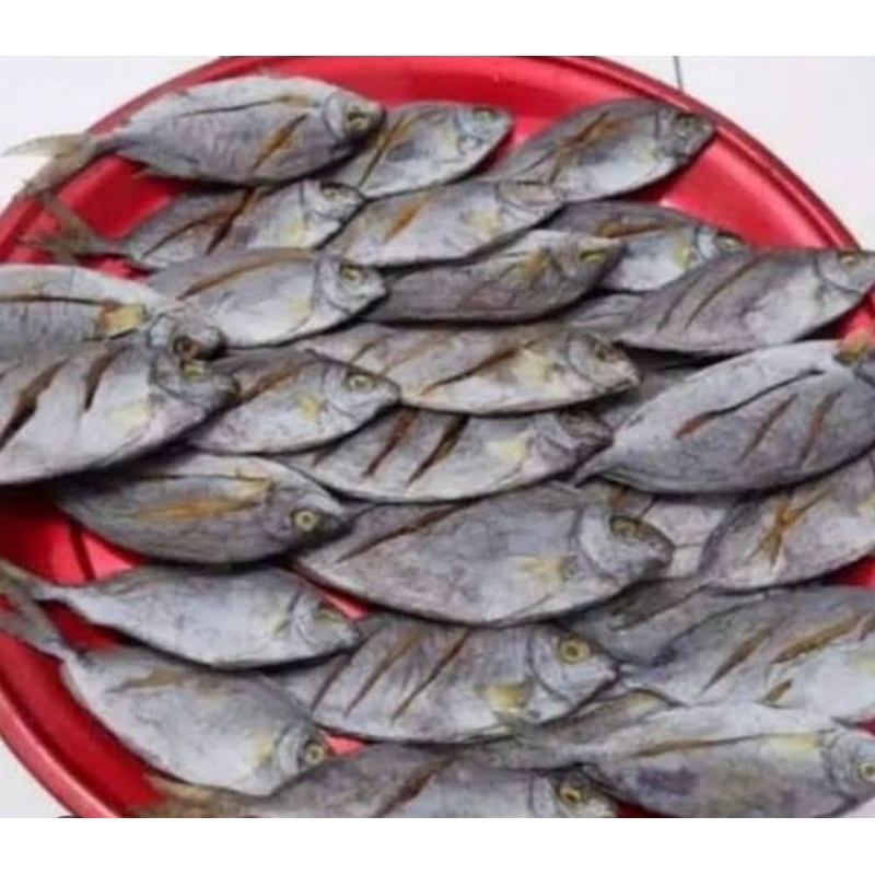 

ikan asin baronang