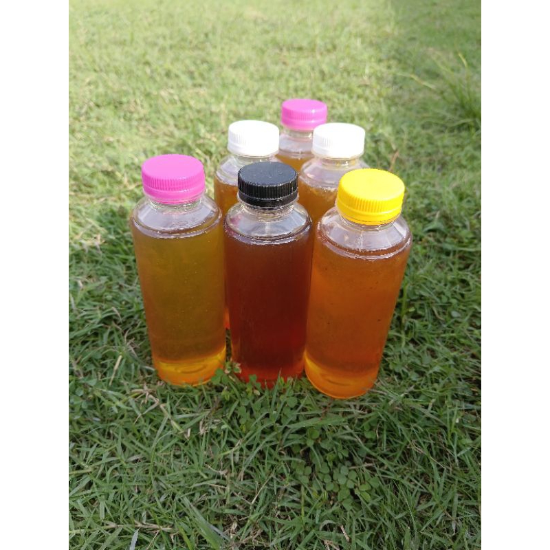 

Madu Hutan 100℅ asli