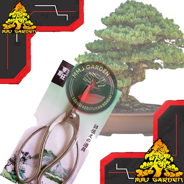 MMJ GARDEN-ALAT BONSAI Gunting Bonsai, Gunting Pruning Bonsai, Gunting Pruning Stainless