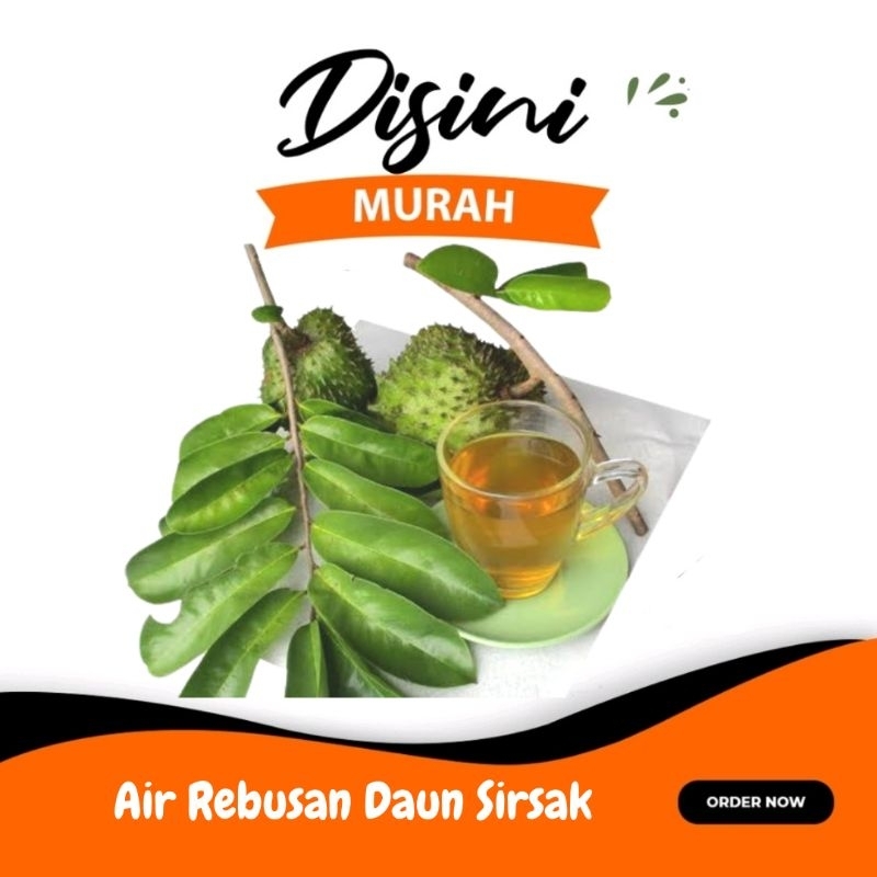 

air rebusan daun sirsak 250ml