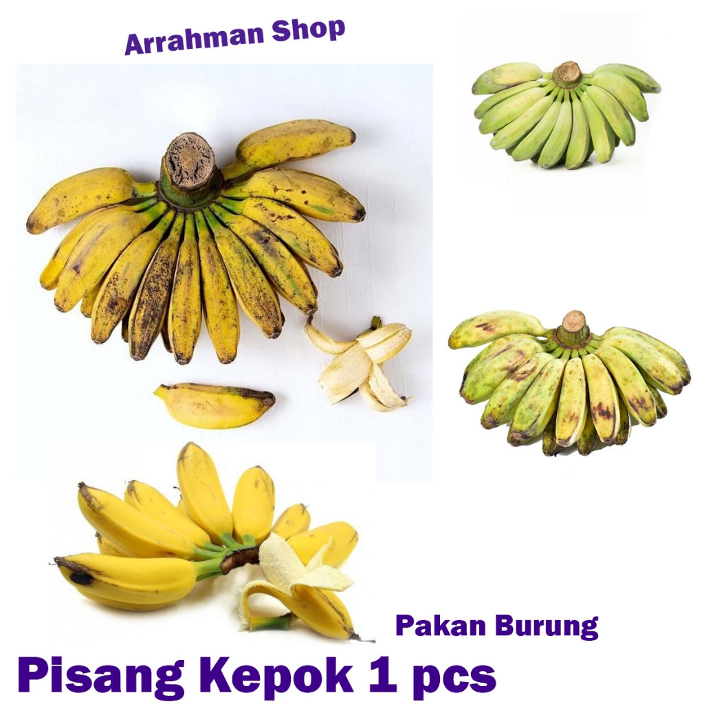 Pisang Kepok - Pisang Kepok Pakan Burung Satuan