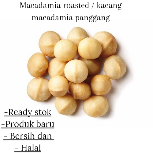 

Kacang madamia panggang 500gram / roasted macadamia nut