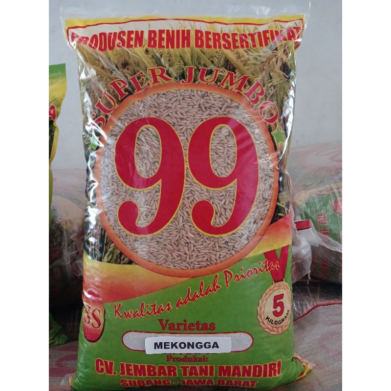 BENIH PADI MEKONGGA SUPER JUMBO