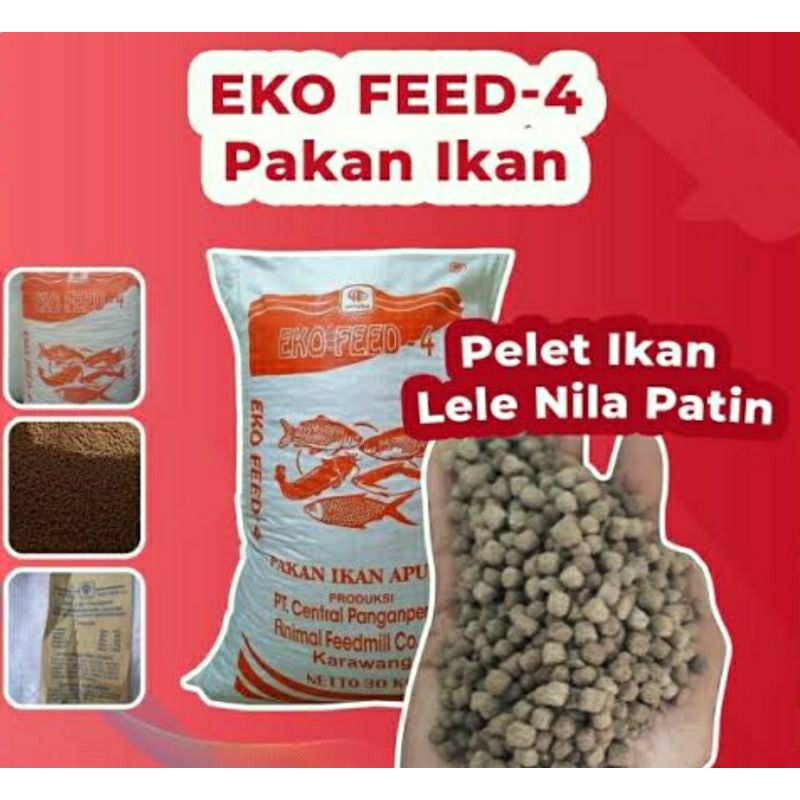 eko -4 pelet murah pelet lele nila mas umpan pancing pakan lele pakan patin
