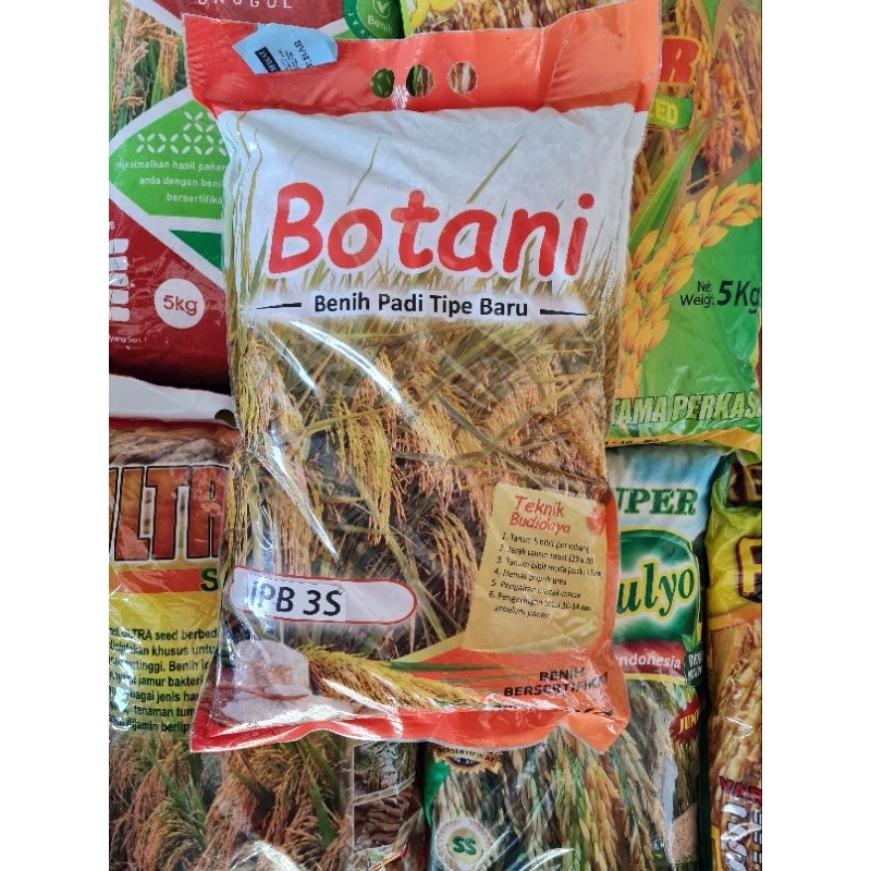 Bibit Padi IPB 3S Botani 5kg