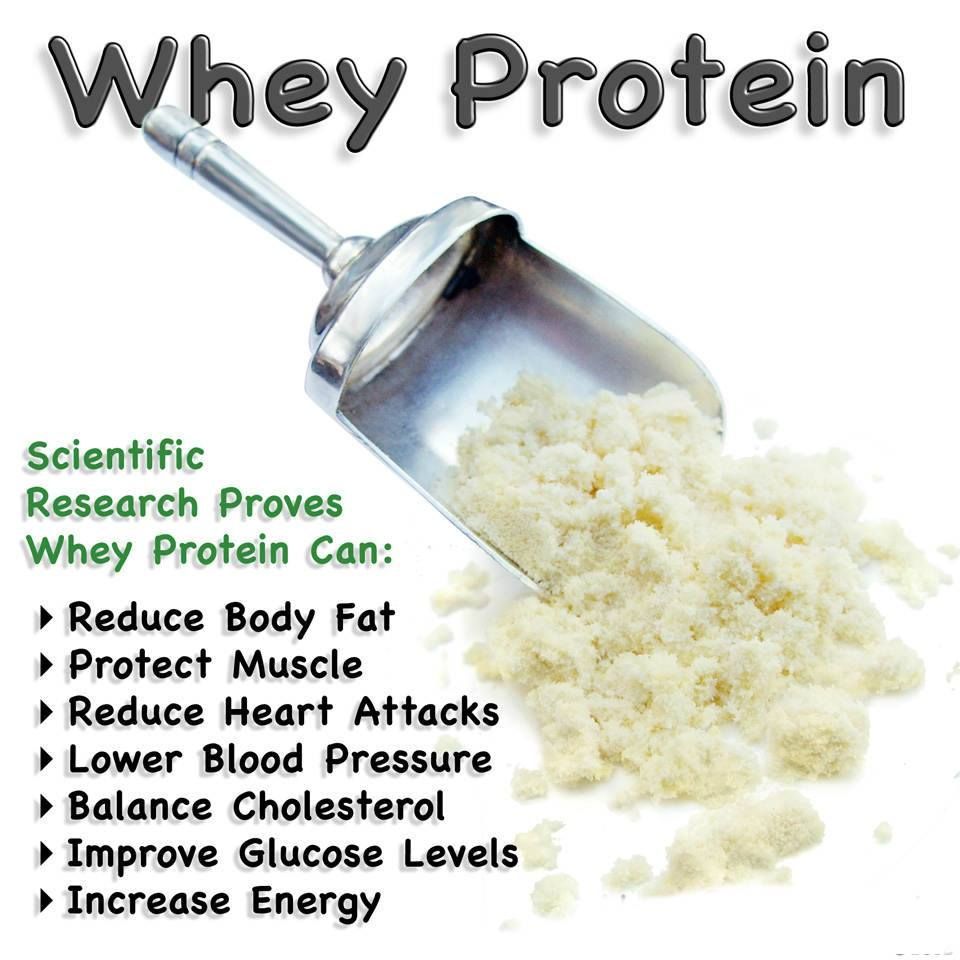 Susu Protein Merk NZMP Repack (500 Gram) / Whey Protein Concentrate 80% ex New Zealand