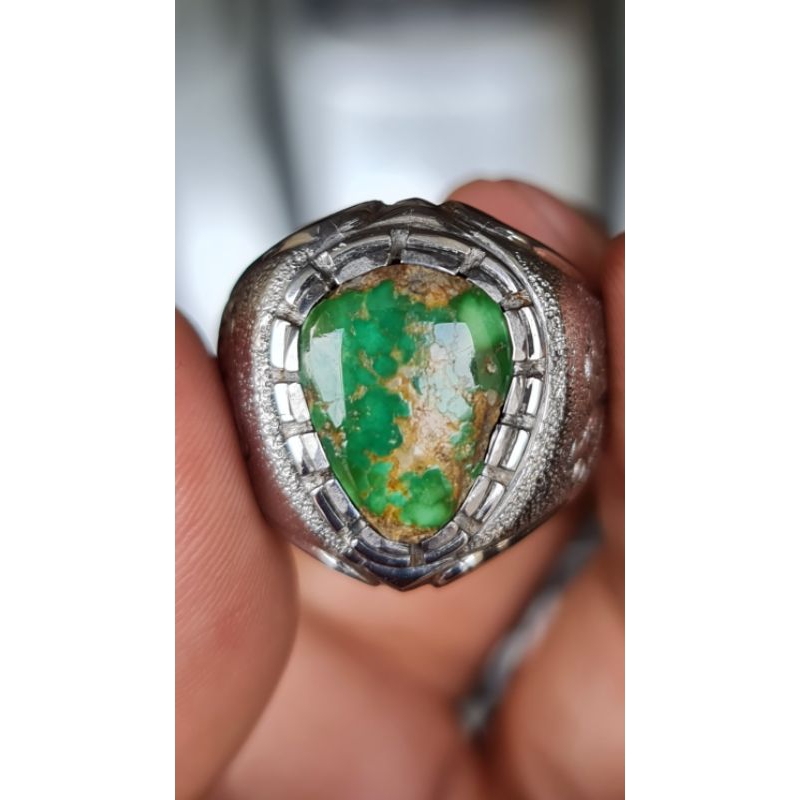 Pirus Persia Hijau Kedondong