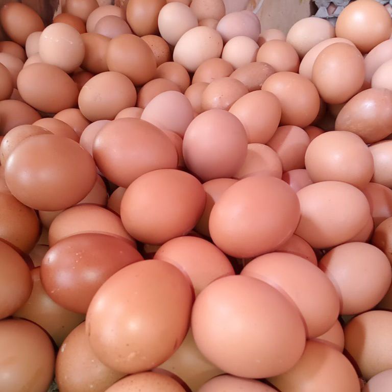 

KODE NVE218 TELUR AYAM NEGERI PER 1 KG