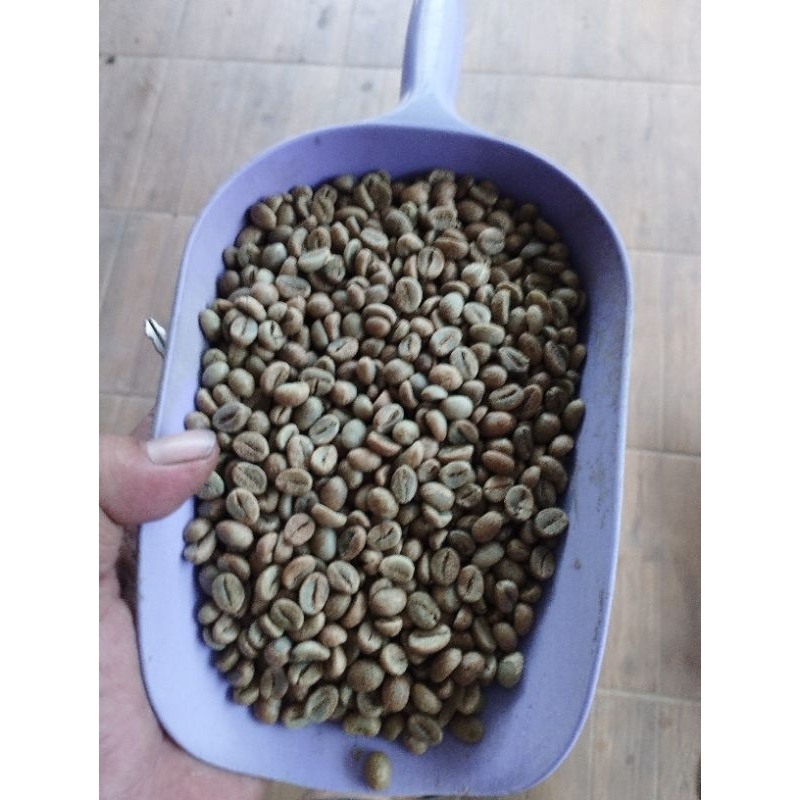 

kopi.mentah.robusta.temanggung.