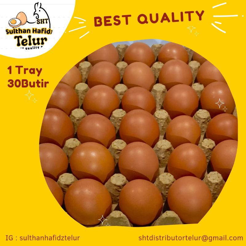 

TELUR AYAM NEGERI 1TRAY isi 30 butir berat bersih 1800-1900gramTelur Ayam NegeriTelur Ayam Negeri Omega Telur Ayam Negeri Krem Telur Puyuh Telur Ayam Kampung Omega Telur Bebek Oren Telur Asin Mentah Telur Asin Mateng