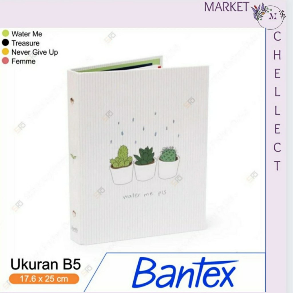 

Blinder Multiring Bantex B5 - 26 Ring 25 mm 1328 - Fermme Theme