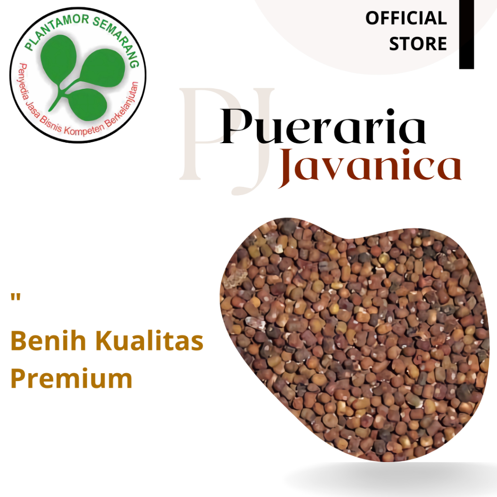 Benih PJ 1 KG/ Pueraria javanica / BENIH LCC (Legume Cover Crop)