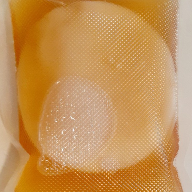 

D76 Bibit Scoby Jamur Kombucha Tea 2