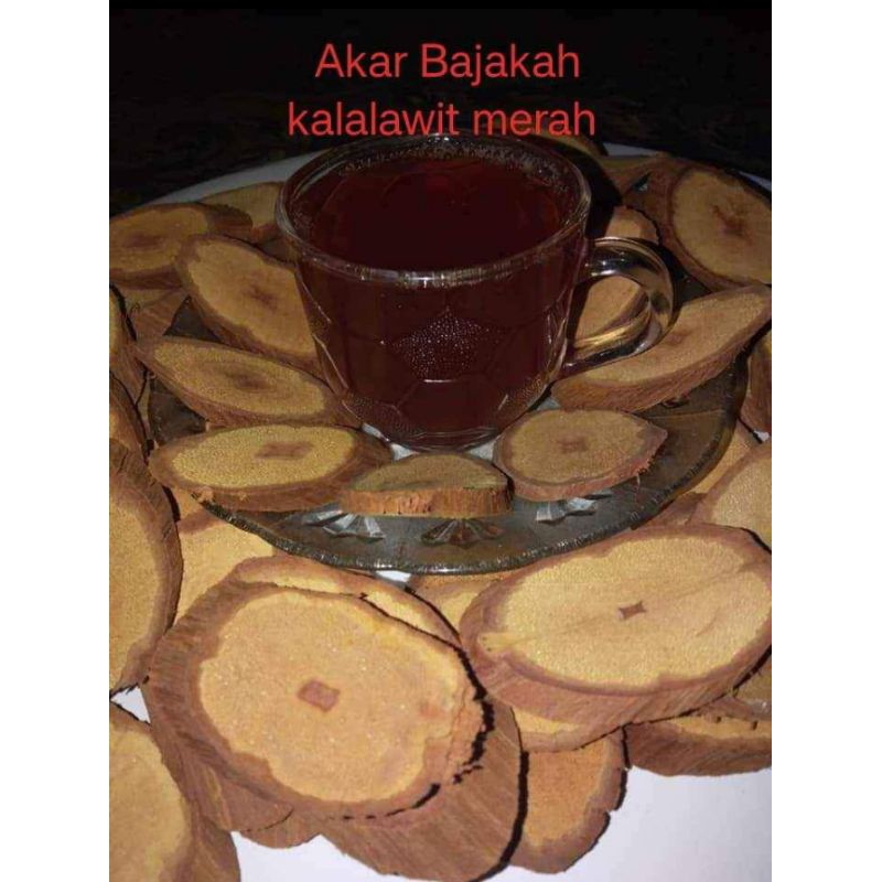 

akar Bajakah Kalimantan