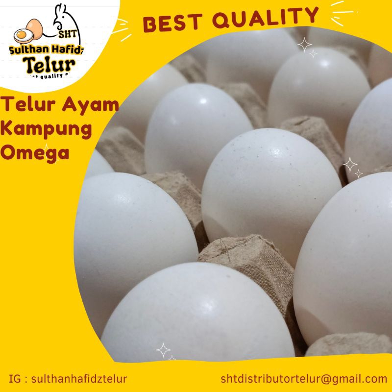 

TELUR AYAM KAMPUNG 1Butir Bersih 40-55gram Telur Ayam NegeriTelur Ayam Negeri Omega Telur Ayam Negeri Krem Telur Puyuh Telur Ayam Kampung Omega Telur Bebek Oren Telur Asin Mentah Telur Asin Mateng