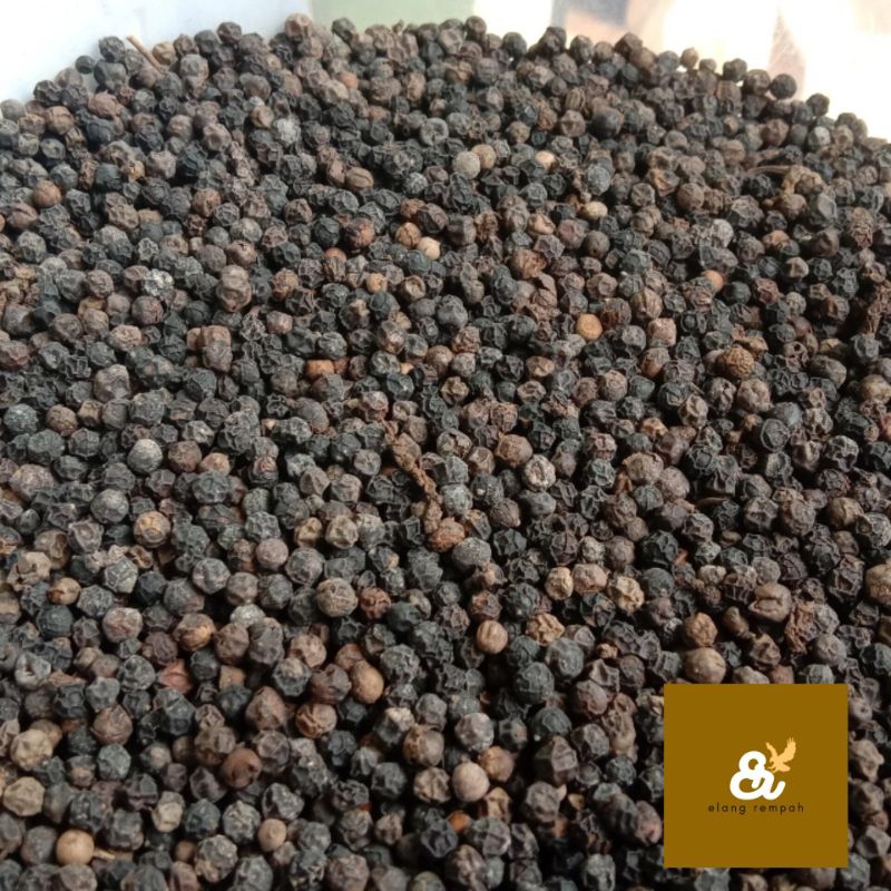 

LADA HITAM 50 GRAM BLACK PEPPER MERICA HITAM