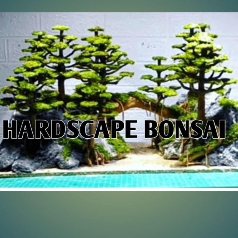 Hardscape Aquascape untuk 80*40*40cm