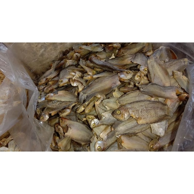 

ikan asin sepat