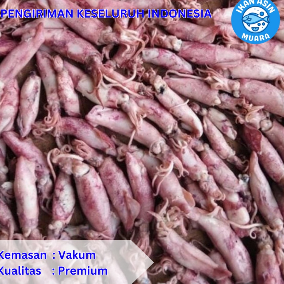

Laris Cumi Asin Kemasan Vakum 25 Gram 5 Gram Ikan Asin Muara Terbaru