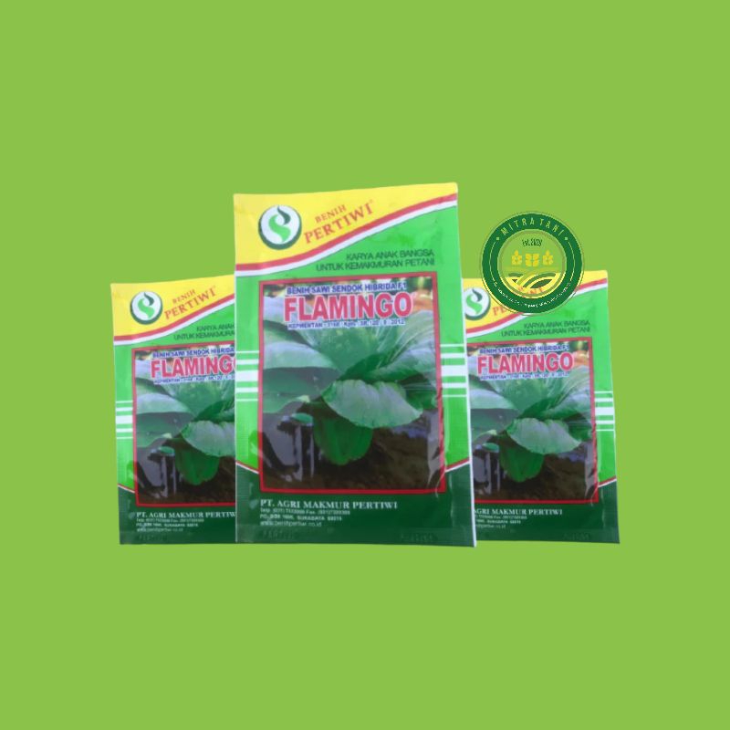 Benih Sawi Flamingo/pakcoy falmingo