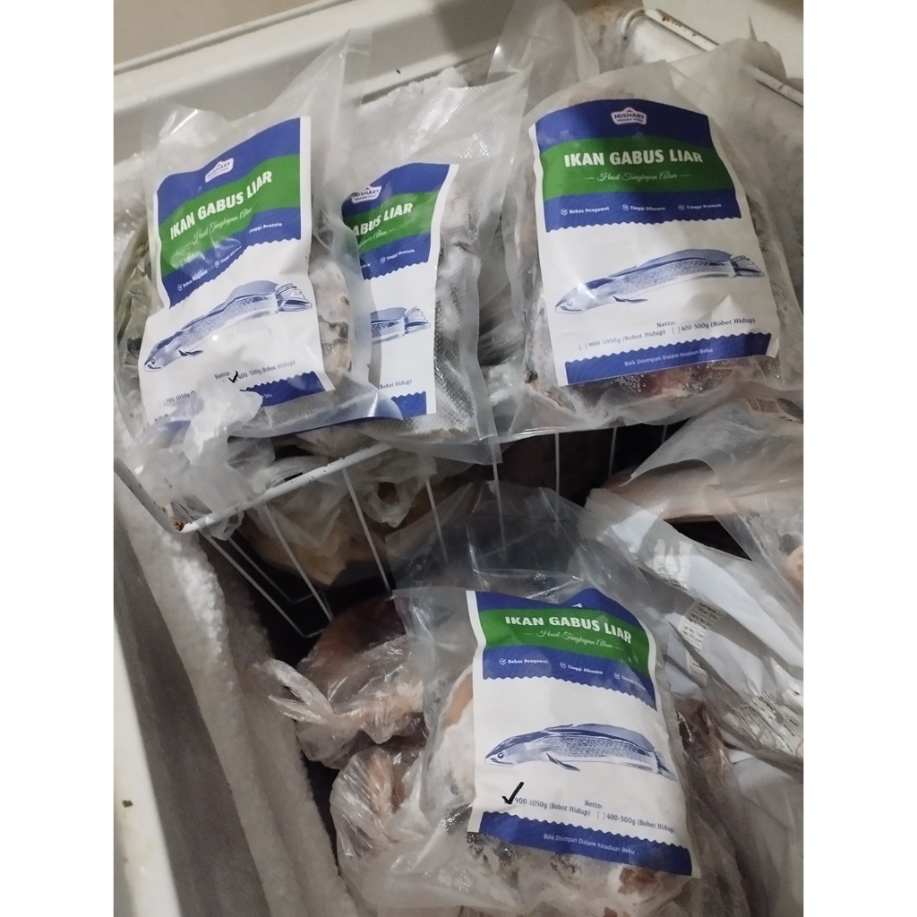 

Paket Reseller 1kg Mishary Frozen Food Ikan Gabus Tangkapan Liar