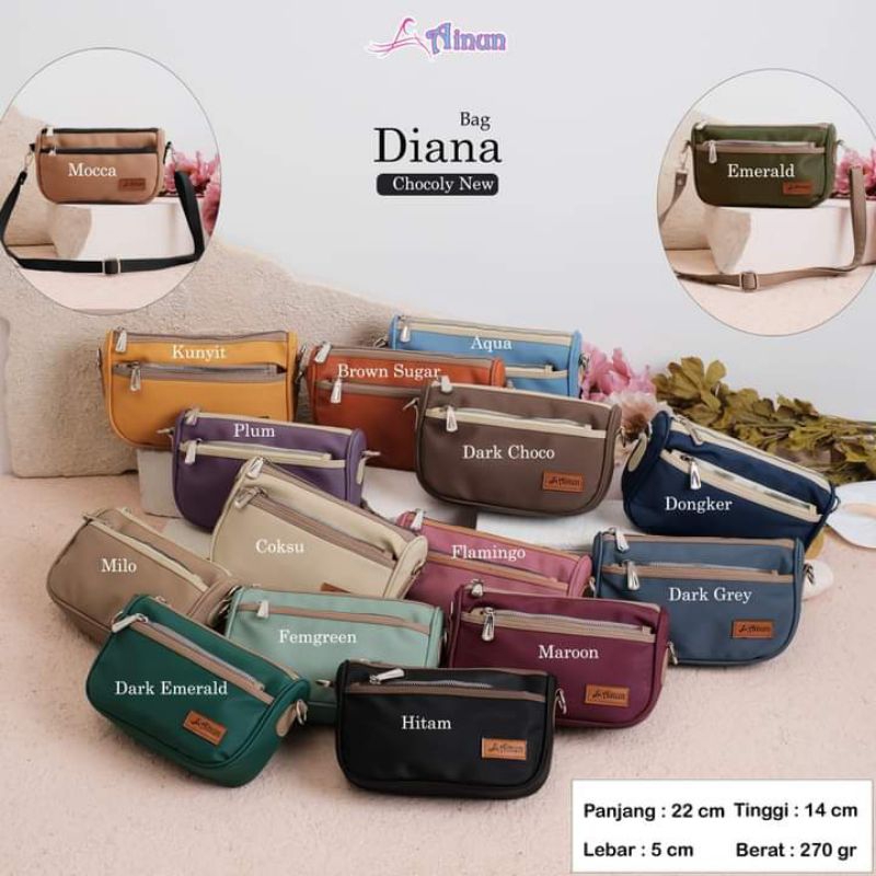 Diana bag by Ainun