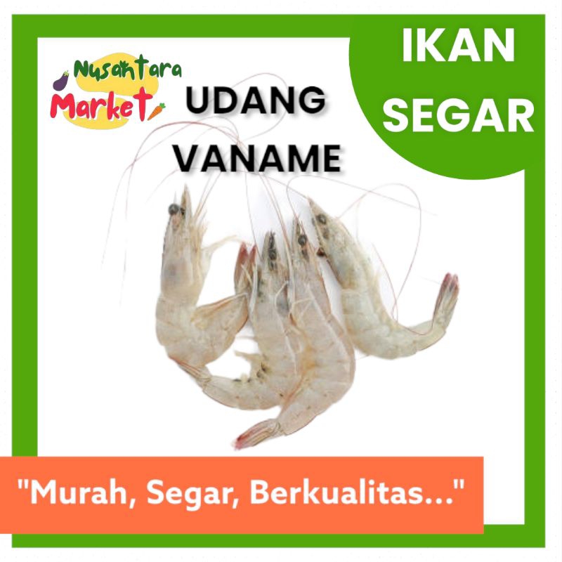 

TERMURAH UDANG VANAME BESAR | 1KG | NUSANTARA MARKET