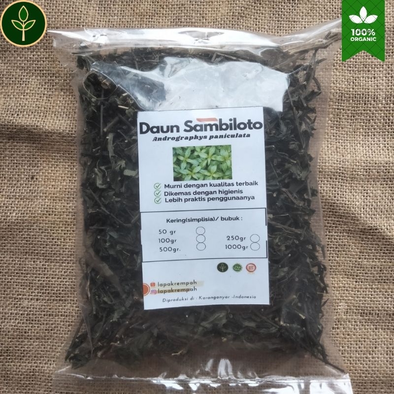 

Daun Sambiloto 1kg/Andrographys paniculata