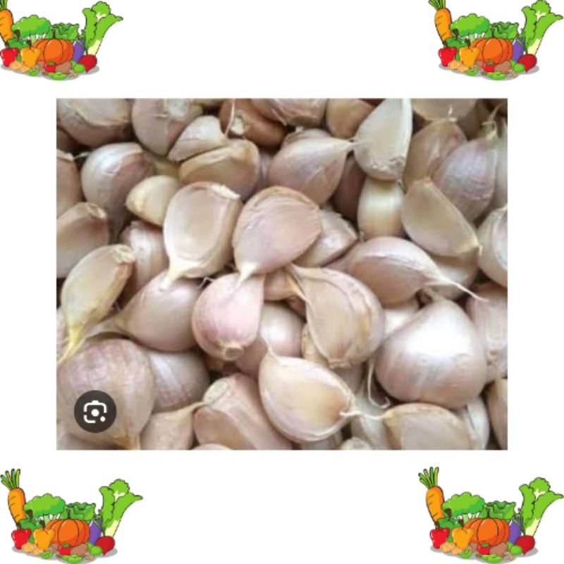 

bawang putih kating 250 gram